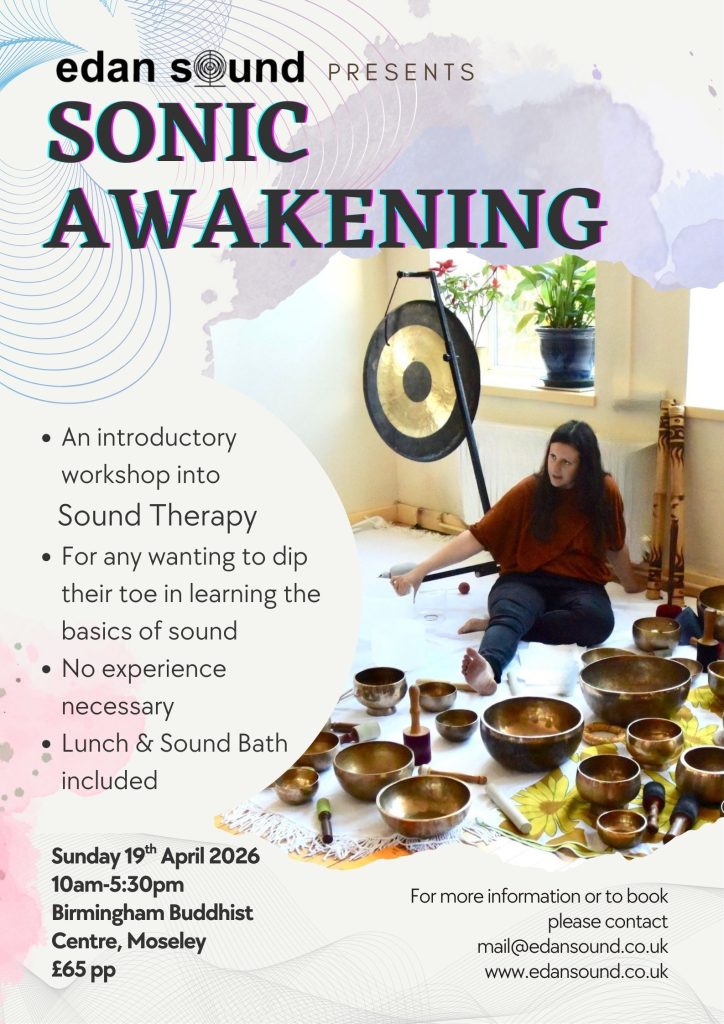 Sonic Awakening poster